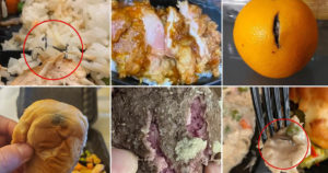 Michigan National Guard members complain of undercooked, contaminated meals while in DC
