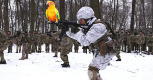 Russia Makes Crazy Claim That U.S. Is Training Birds To Spread A Ukrainian Bioweapon