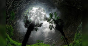 Spelunkers Discover A Massive Sinkhole In Southern China — With A Forest At The Bottom